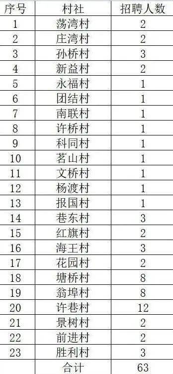 許村最新招聘信息概覽