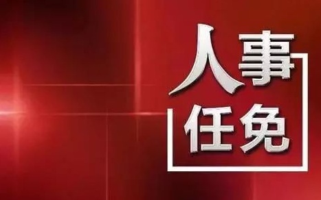 中央最新人事任免，蔡某某的新職務(wù)與未來展望