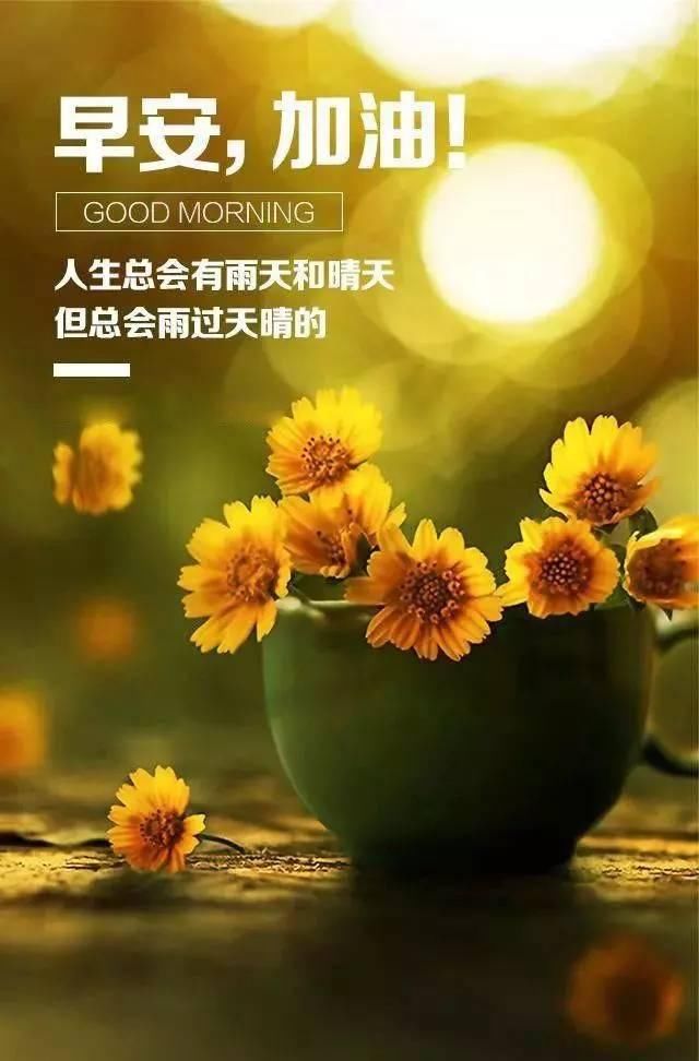 最新早安勵(lì)志語錄帶圖，開啟充滿活力的每一天